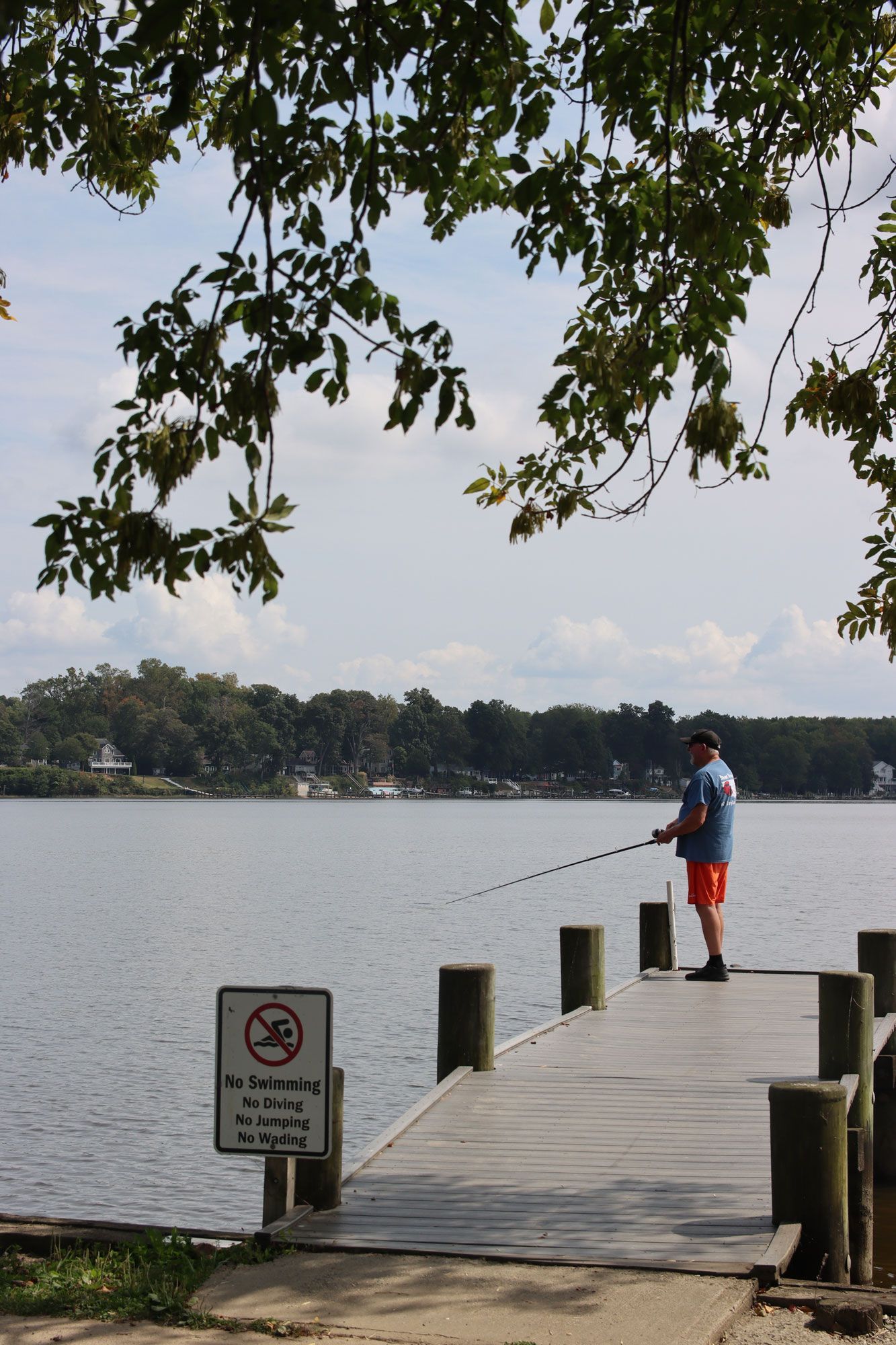 Person fishing from a dock on a calm lake, with trees overhead and a no swimming sign.