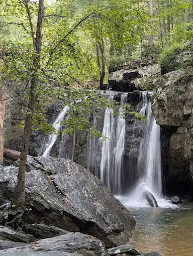 Forest waterfall cascading over rocks into a calm pool