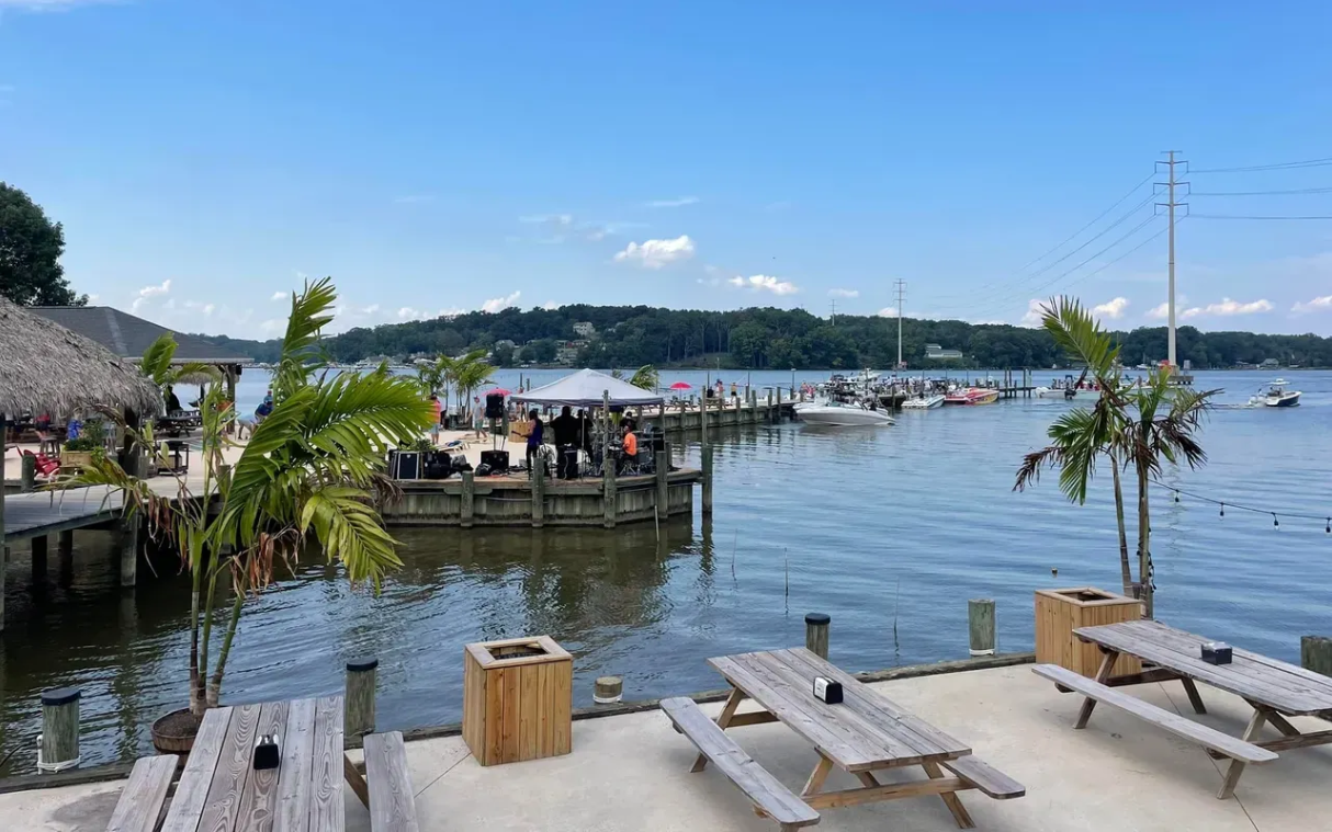 Lakeside resort with lounge chairs, palm trees, and a calm marina under a blue sky