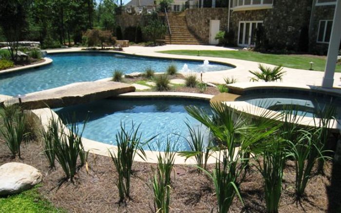 Backyard pool with curved blue water features, stone edging, and landscaped plants
