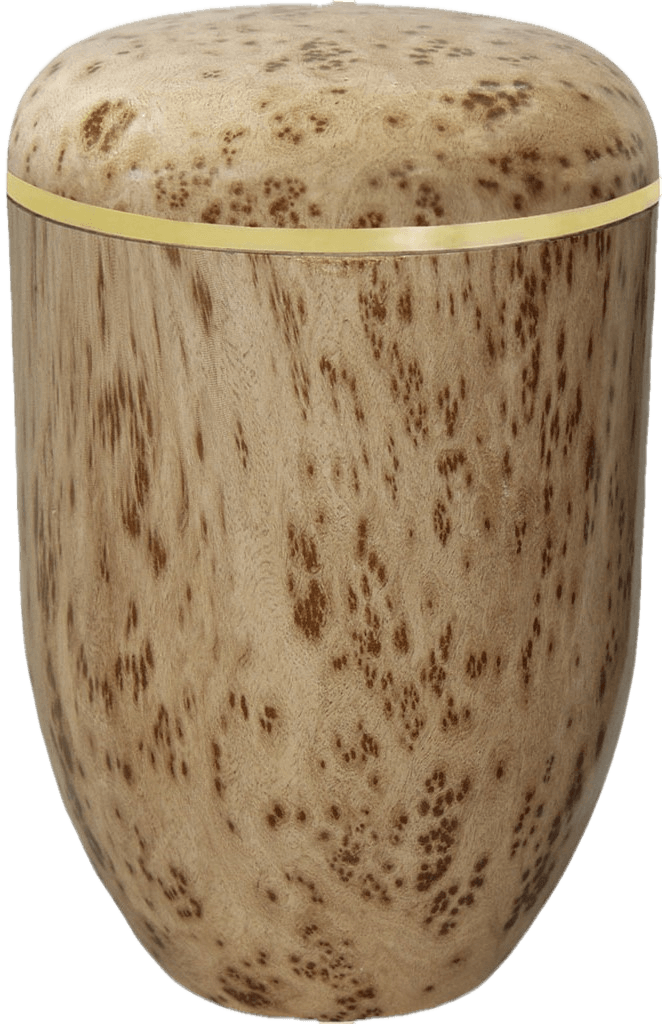 Cremation Urns for Ashes Cheetah