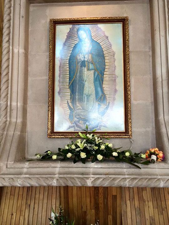 FLORERÍA BARRAZA