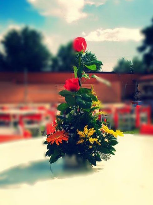 FLORERÍA BARRAZA