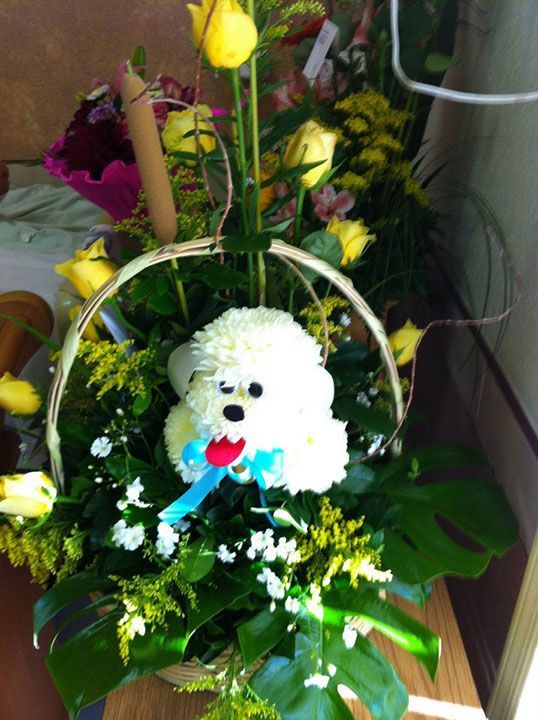 FLORERÍA BARRAZA