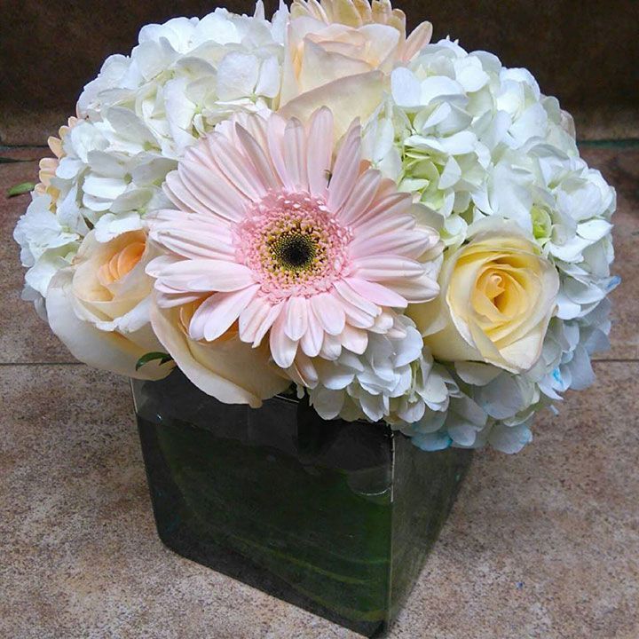 FLORERÍA BARRAZA