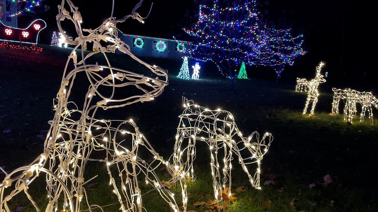 Holiday light sculptures of deer and a fawn glowing in a nighttime park display