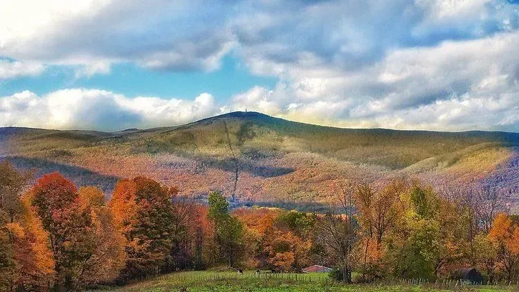 Autumn hills with colorful trees under a cloudy sky and mountains in the distance