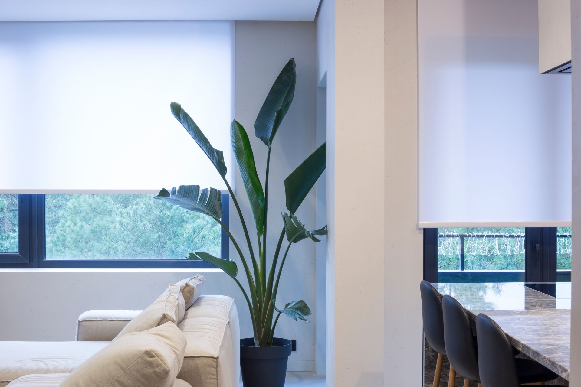 Modern living room with large windows, white walls, beige sofa, and tall green plant; dining table at right
