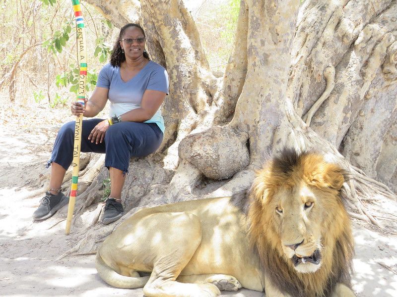 Fathala Lion Reserves in Senegal