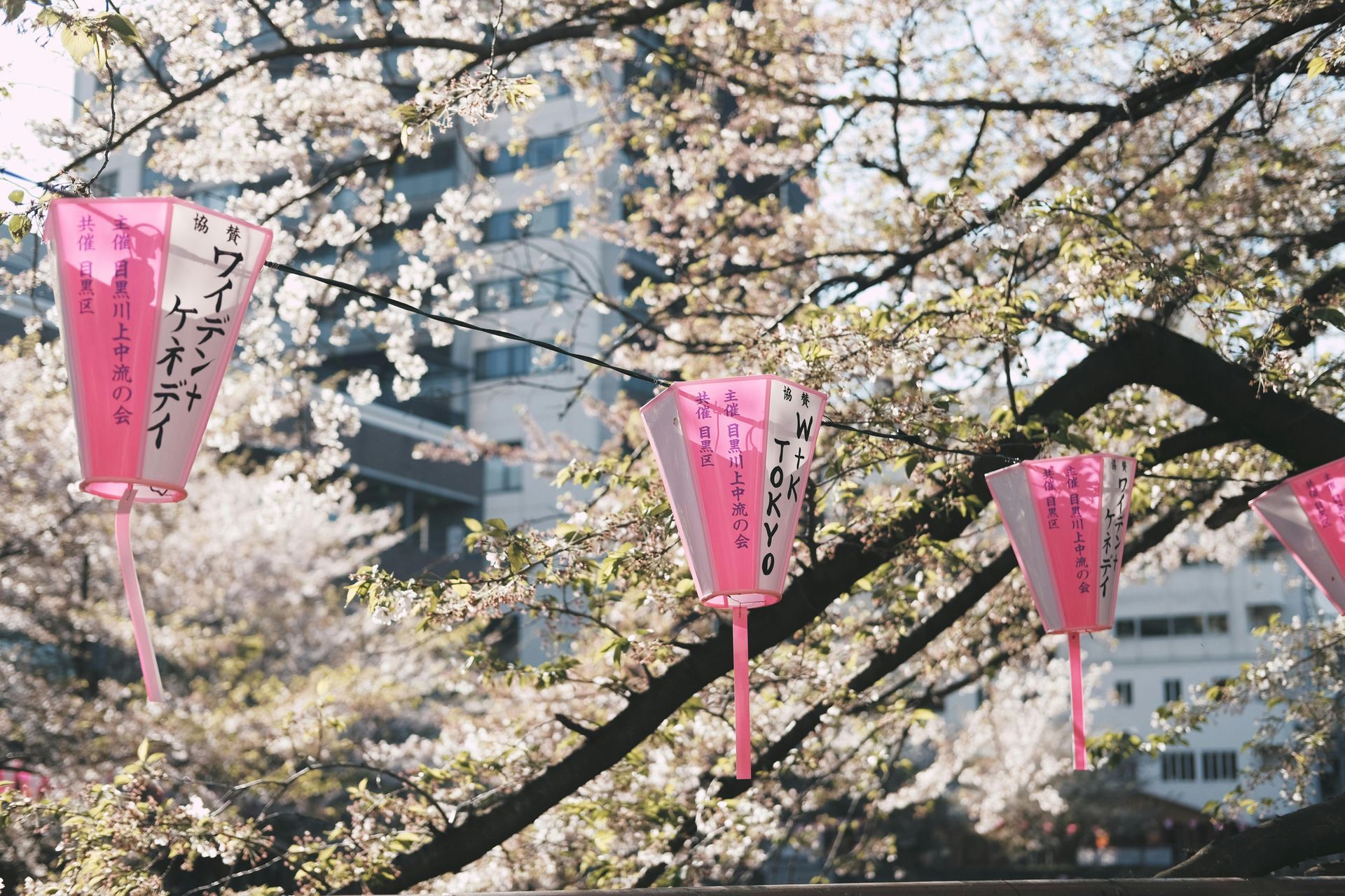 TOKYO