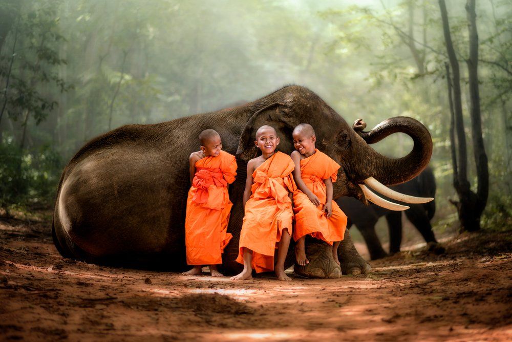 Wonders of Thailand for Travelers