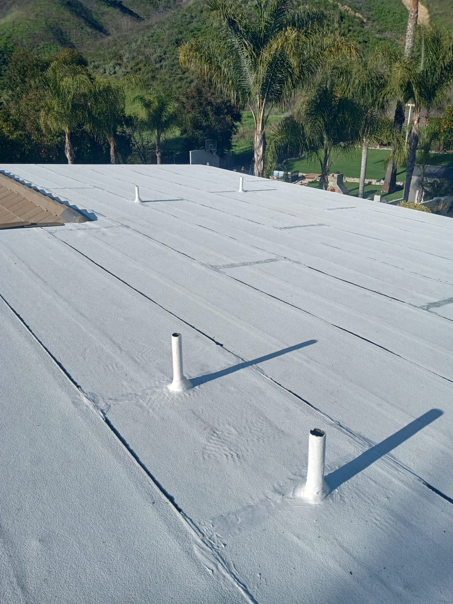 Flat roof with white coating, two vents, with trees and hillside in background.