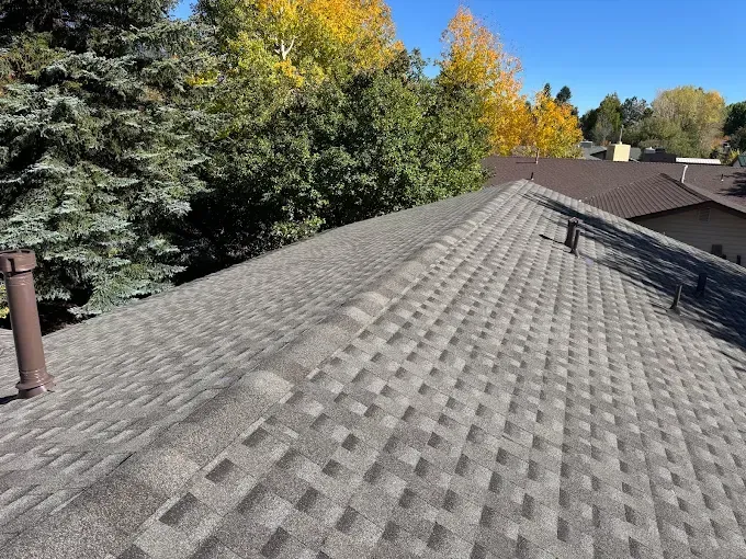 Gray shingle roof viewed from above with trees and neighboring houses in the background