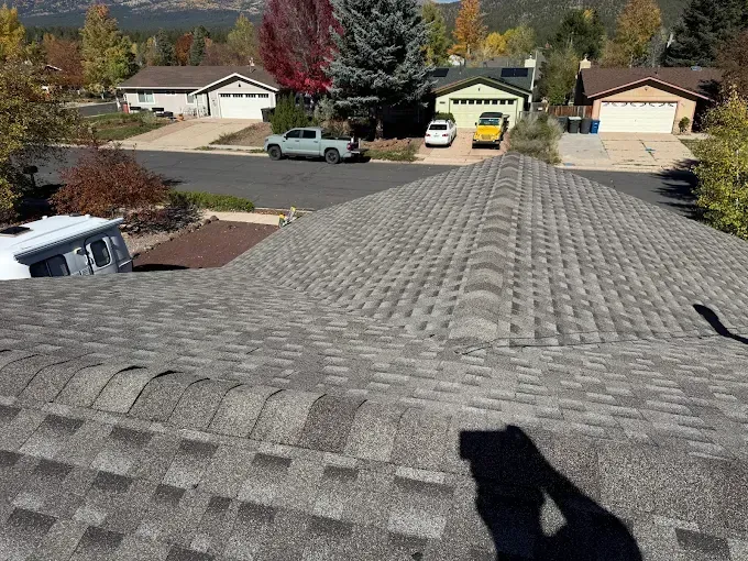 View from a rooftop with gray shingles overlooking a suburban street and autumn trees.