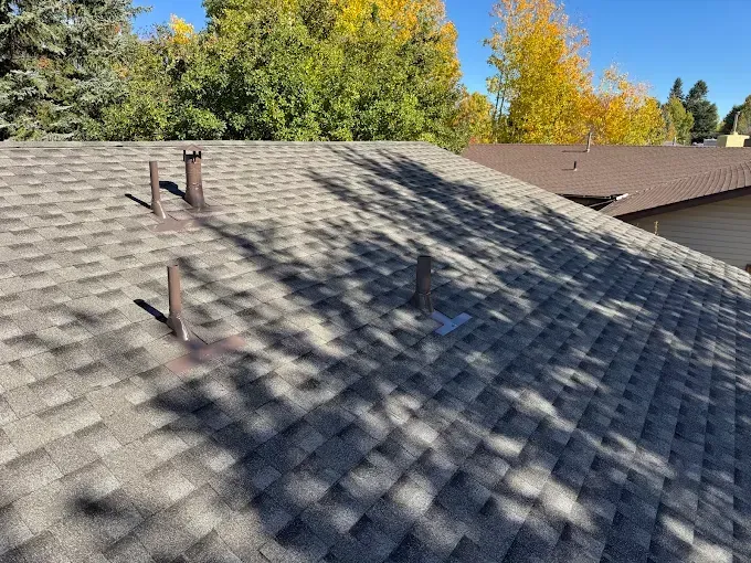 Shingled roof with vent pipes and tree shadows under a blue sky