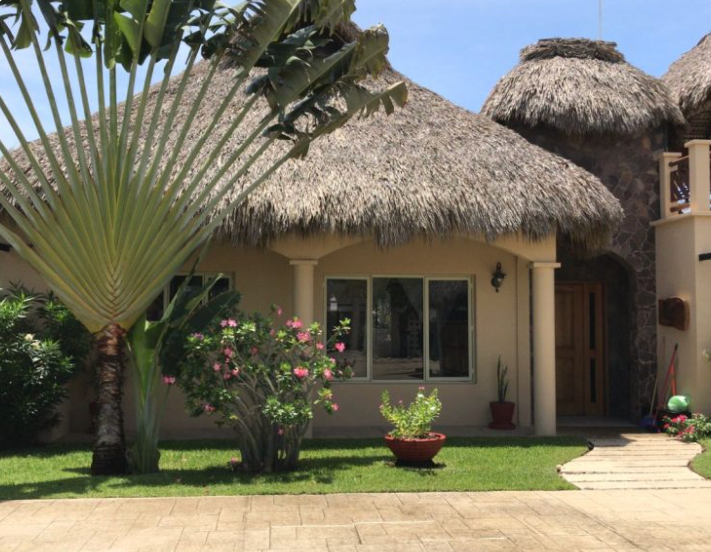 A house with a thatched roof, light-colored walls, and green grass. Palm tree and flowers in the foreground.