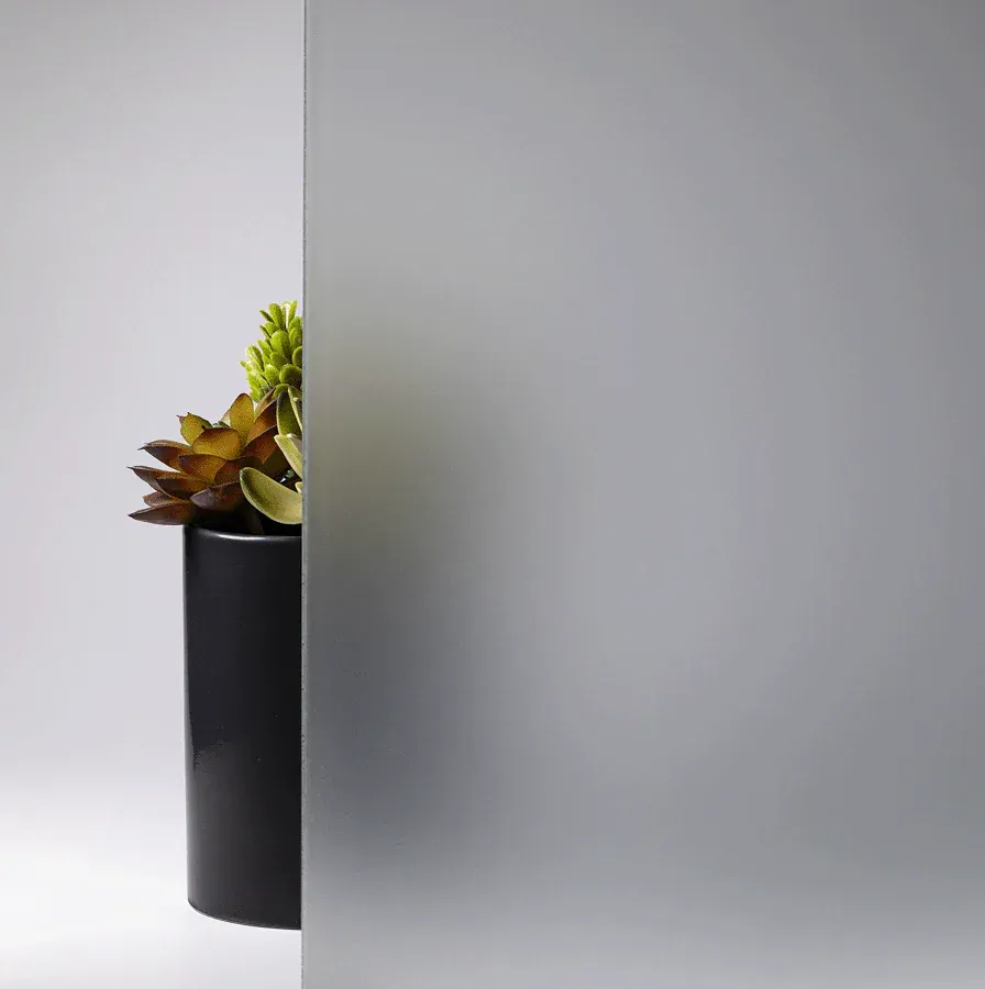 Small succulent in a black pot partly hidden behind a gray wall on a light background
