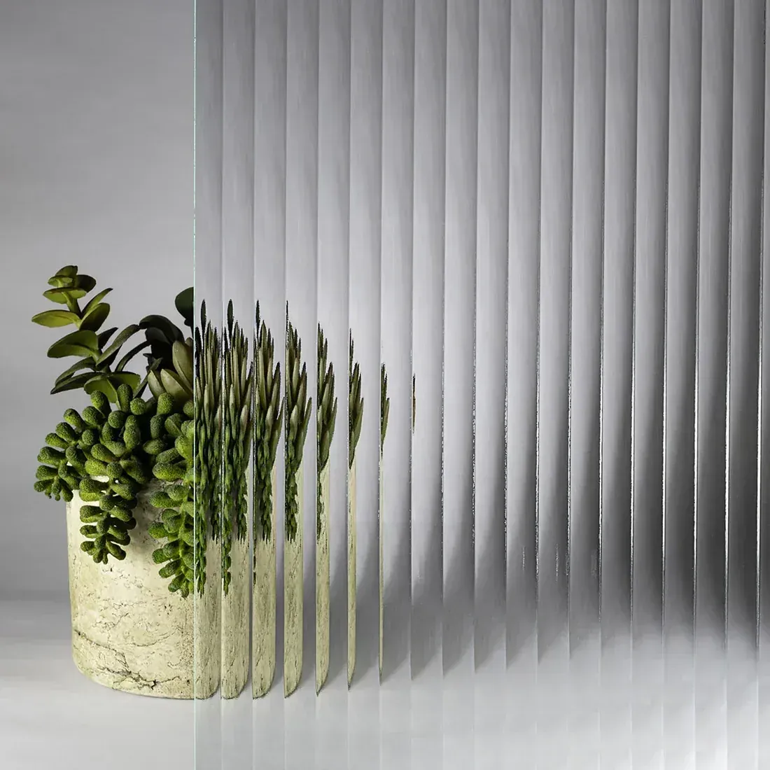 Potted green succulent beside a vertical striped curtain on a gray background