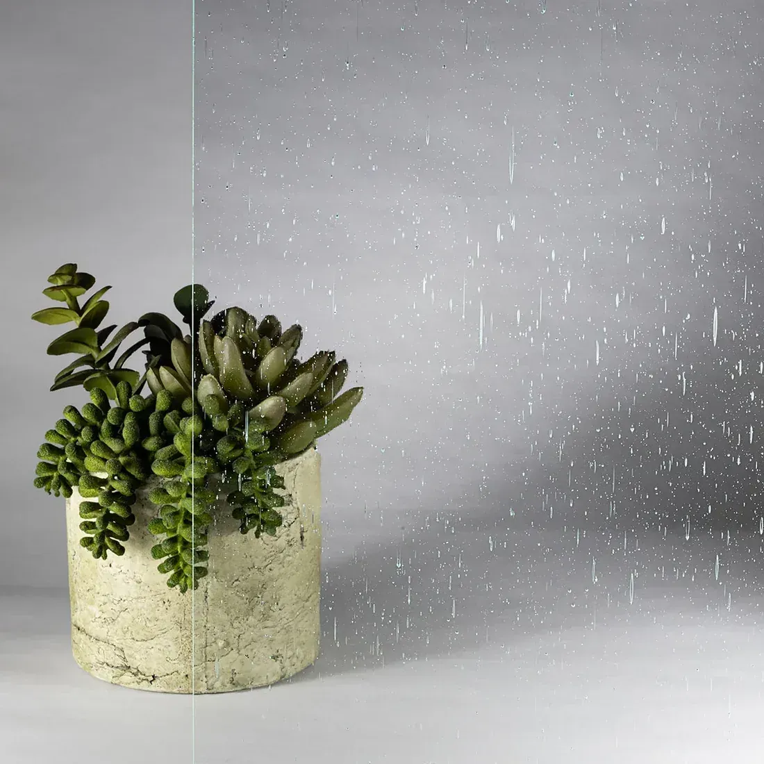 Potted succulent in a textured cream planter on a gray surface against a soft gray background.