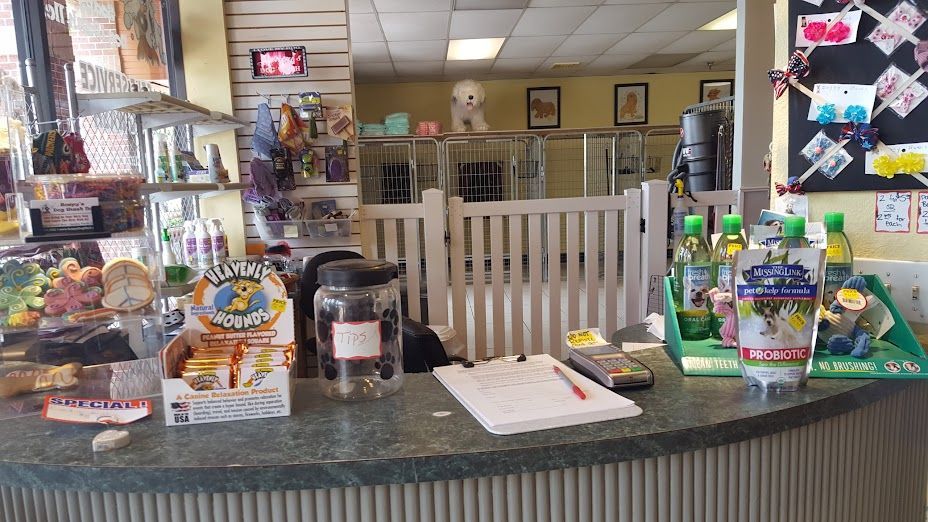 A counter in a store with jars of candy on it