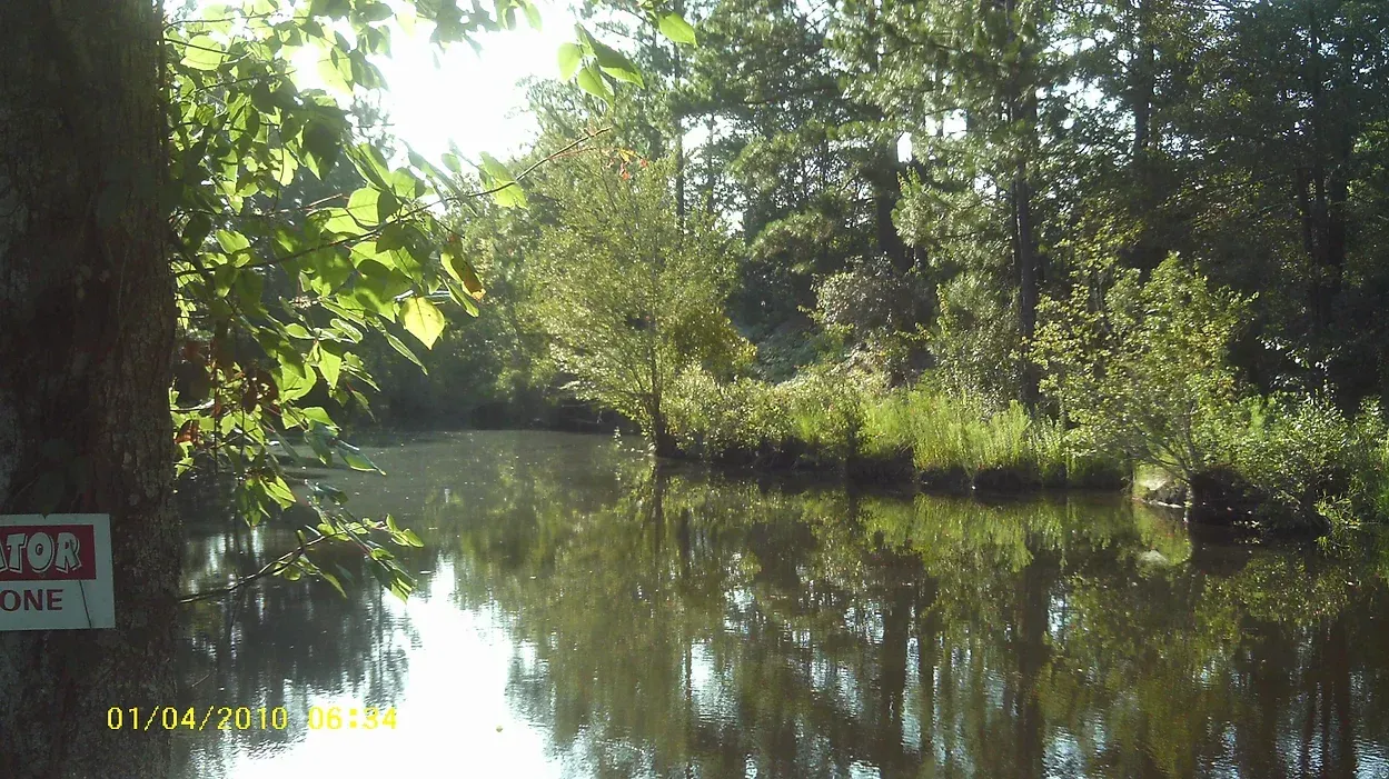 A river surrounded by trees and a sign that says rt