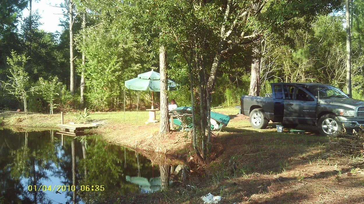 A truck is parked next to a pond in the woods