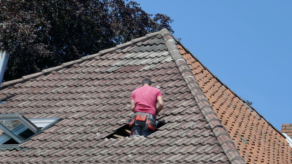 A Man is Standing on Top of a Roof. — Woodger's Metal Roofing Specialists Pty Ltd in South West Rocks, NSW