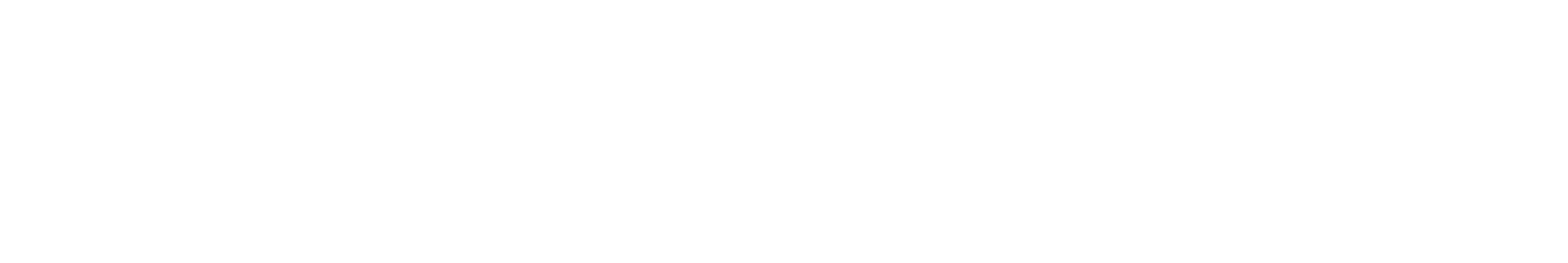 International Jets footer logo white color