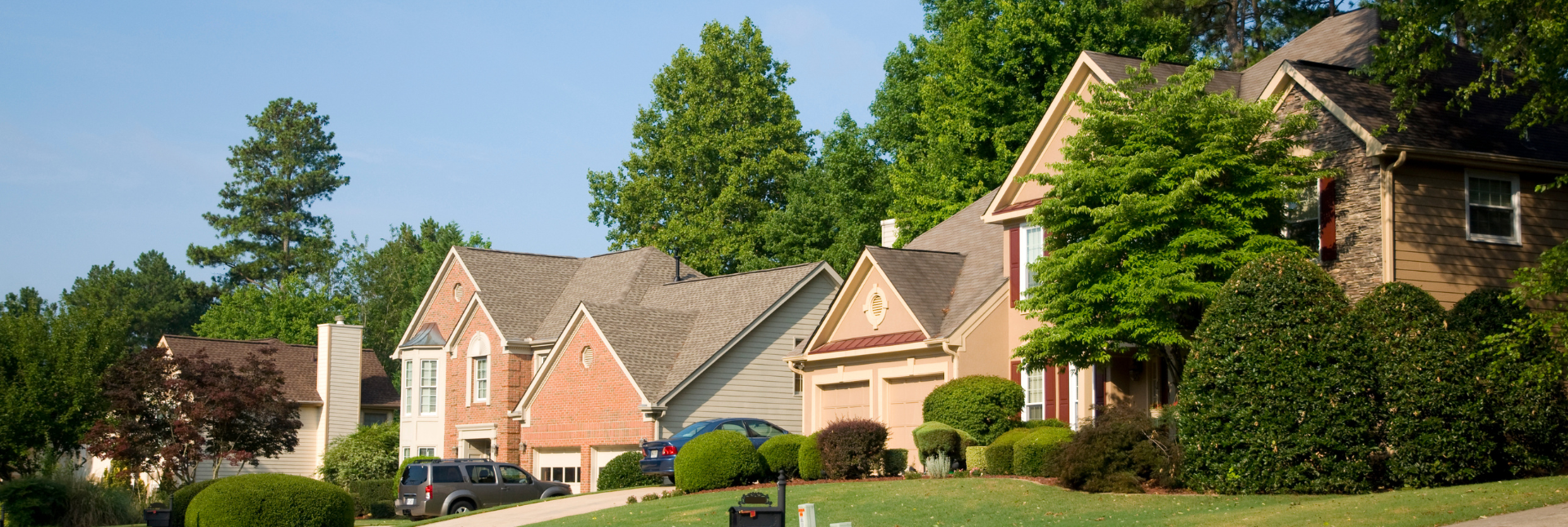 Tree Service Cost Price Guide
