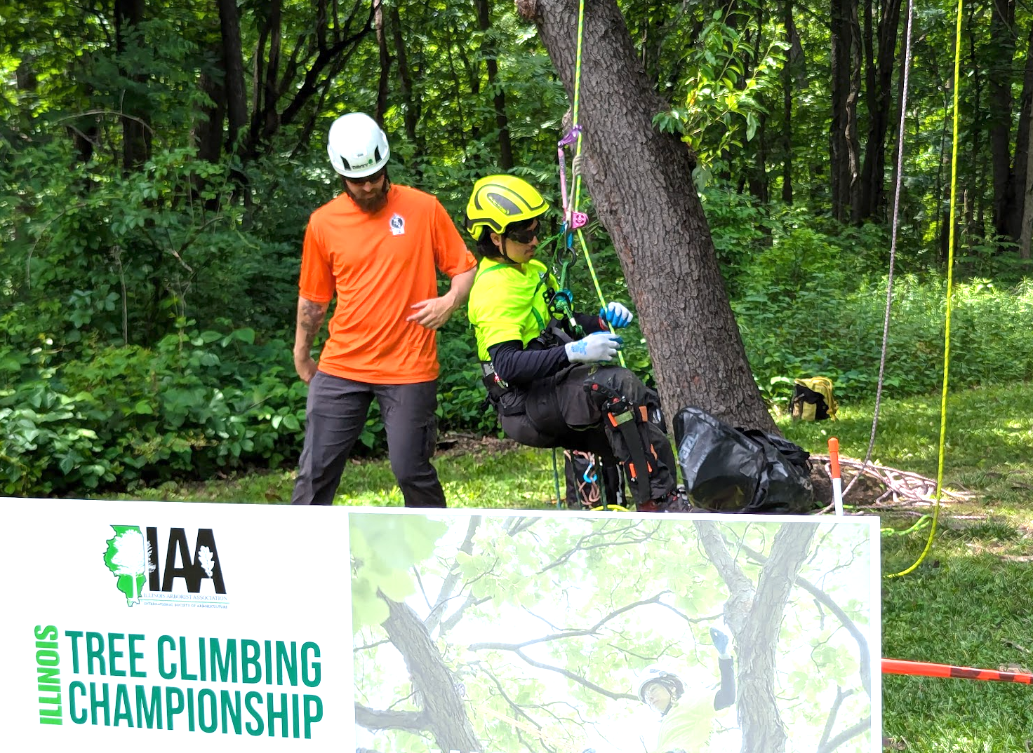IAA Tree Climbing Championship