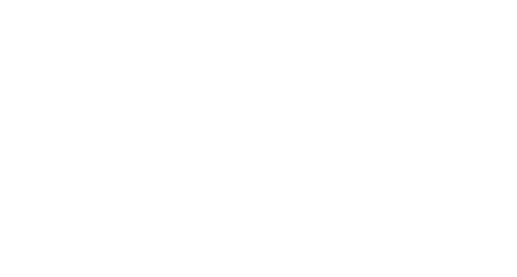 capitol chimney sweep logo