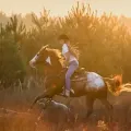 Person riding a horse through tall grass at sunset, with a warm golden glow.