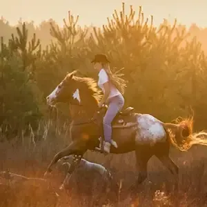 Person riding a horse through tall grass at sunset, with a warm golden glow.