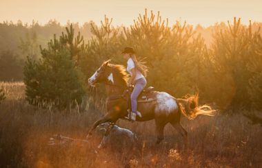 Rider on a horse gallops through a sunlit field at sunset, kicking up dust.