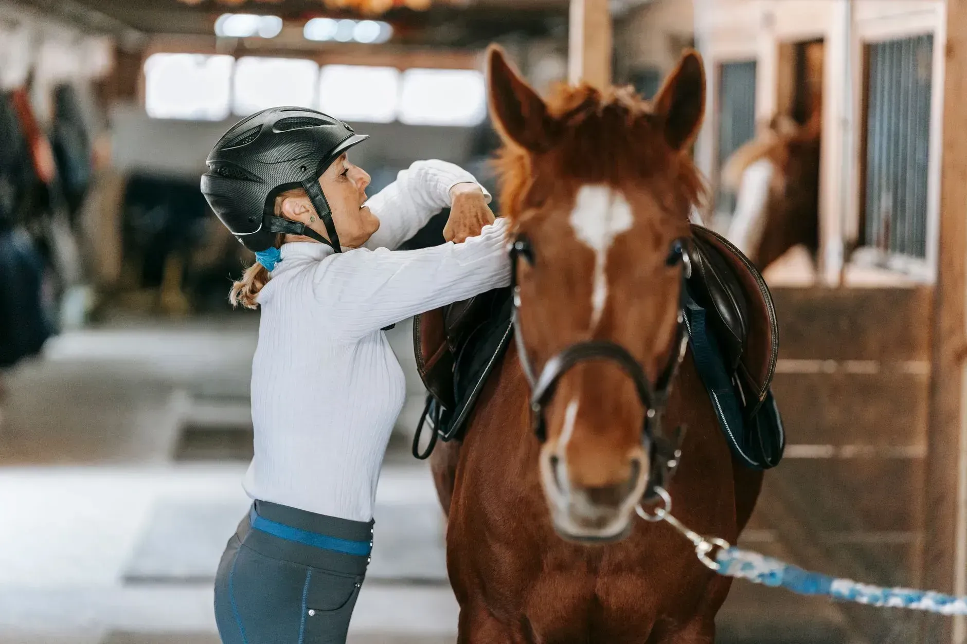 Person in a helmet adjusts tack on a brown horse in a stable.