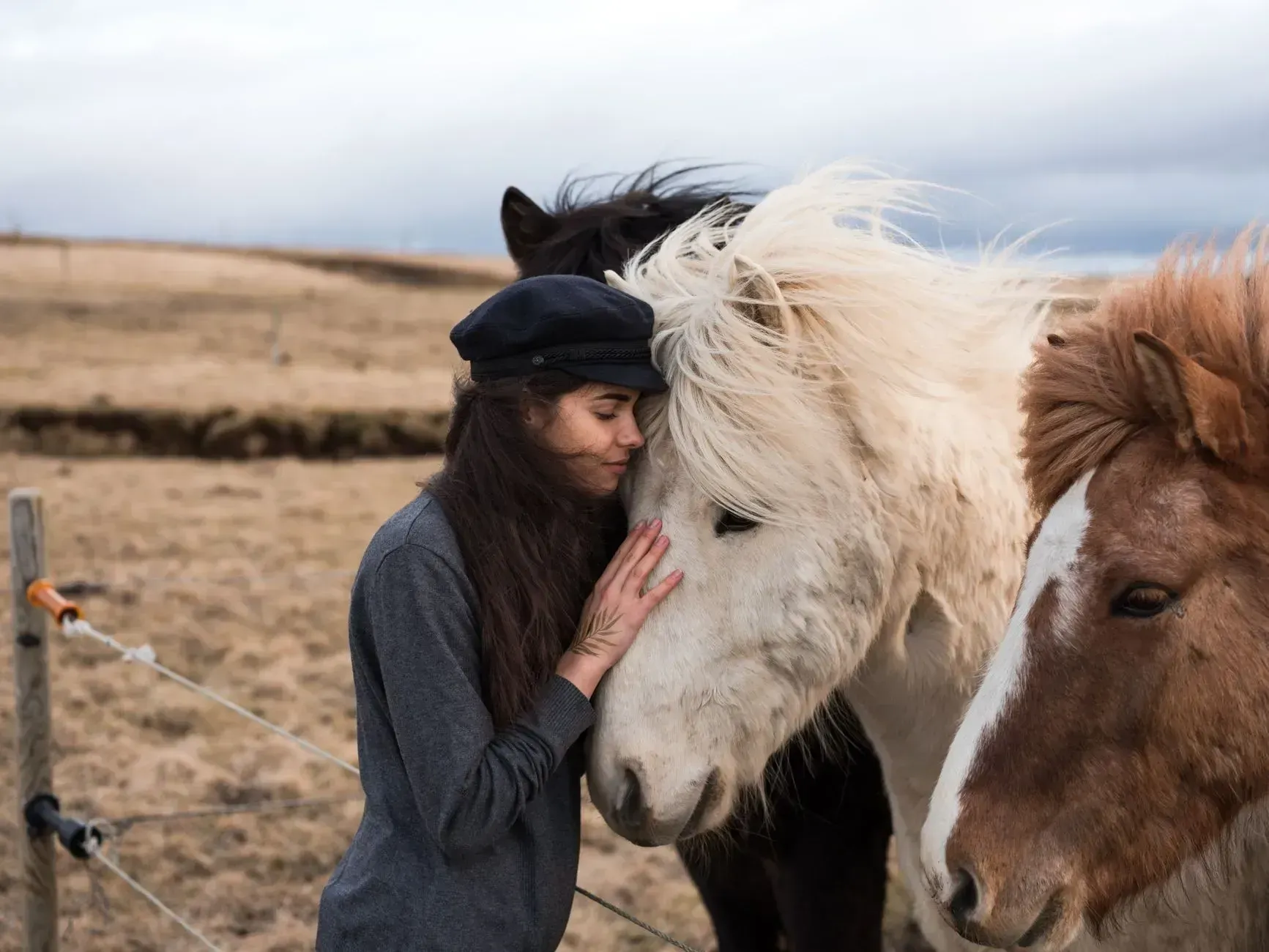 Person in black hat gently touching a white horse beside a brown horse in a field