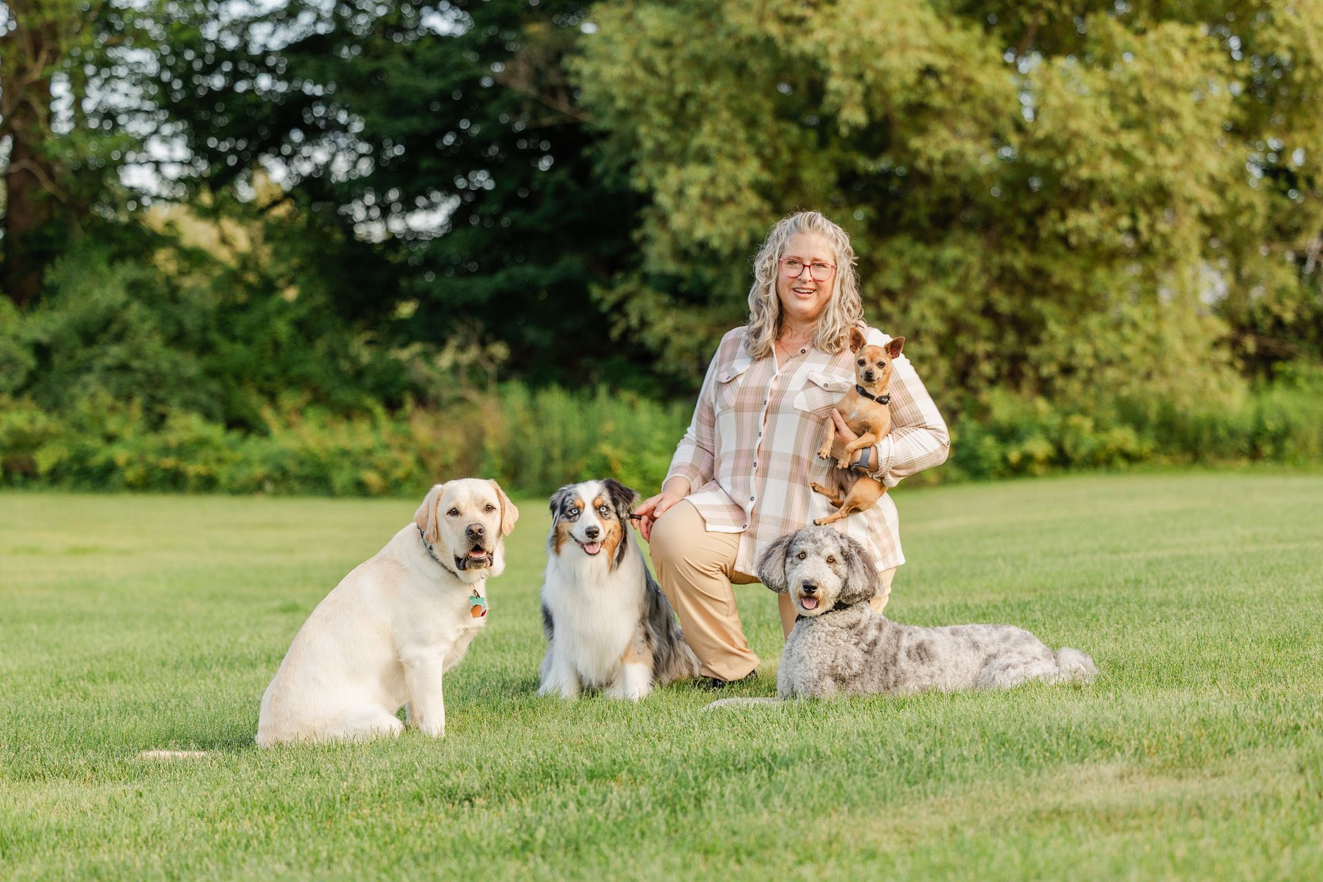 Training off-leash reliability in a Traverse City Park.