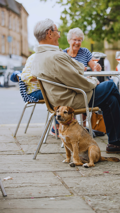 A couple sits at a cafe while their well-trained dog sits calmly at their feet after  dog training.
