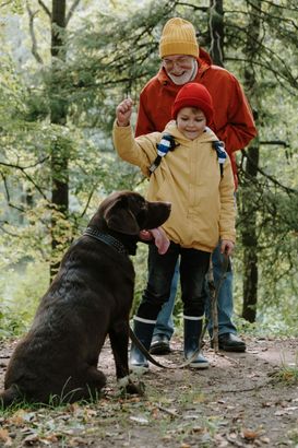 A grandfather shows his grandson how to cue his Labrador retriever to sit calmly.
