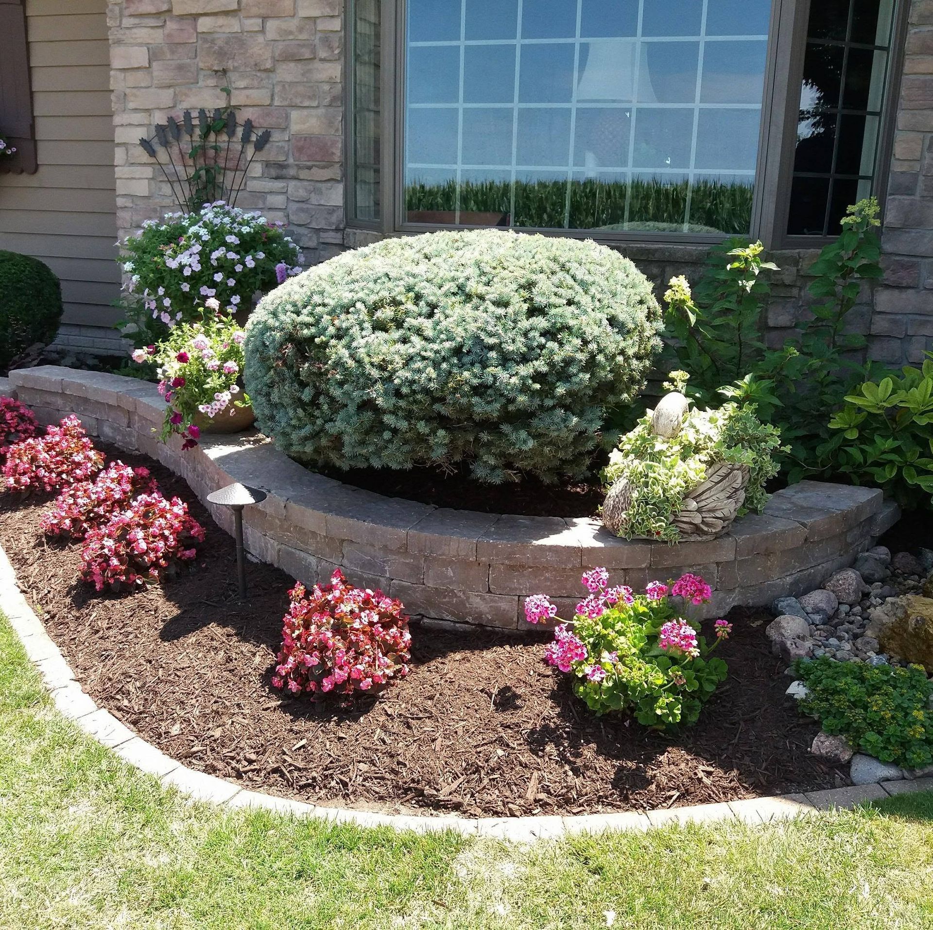 Front yard flower bed with a trimmed round shrub, pink flowers, and stone edging by a house window
