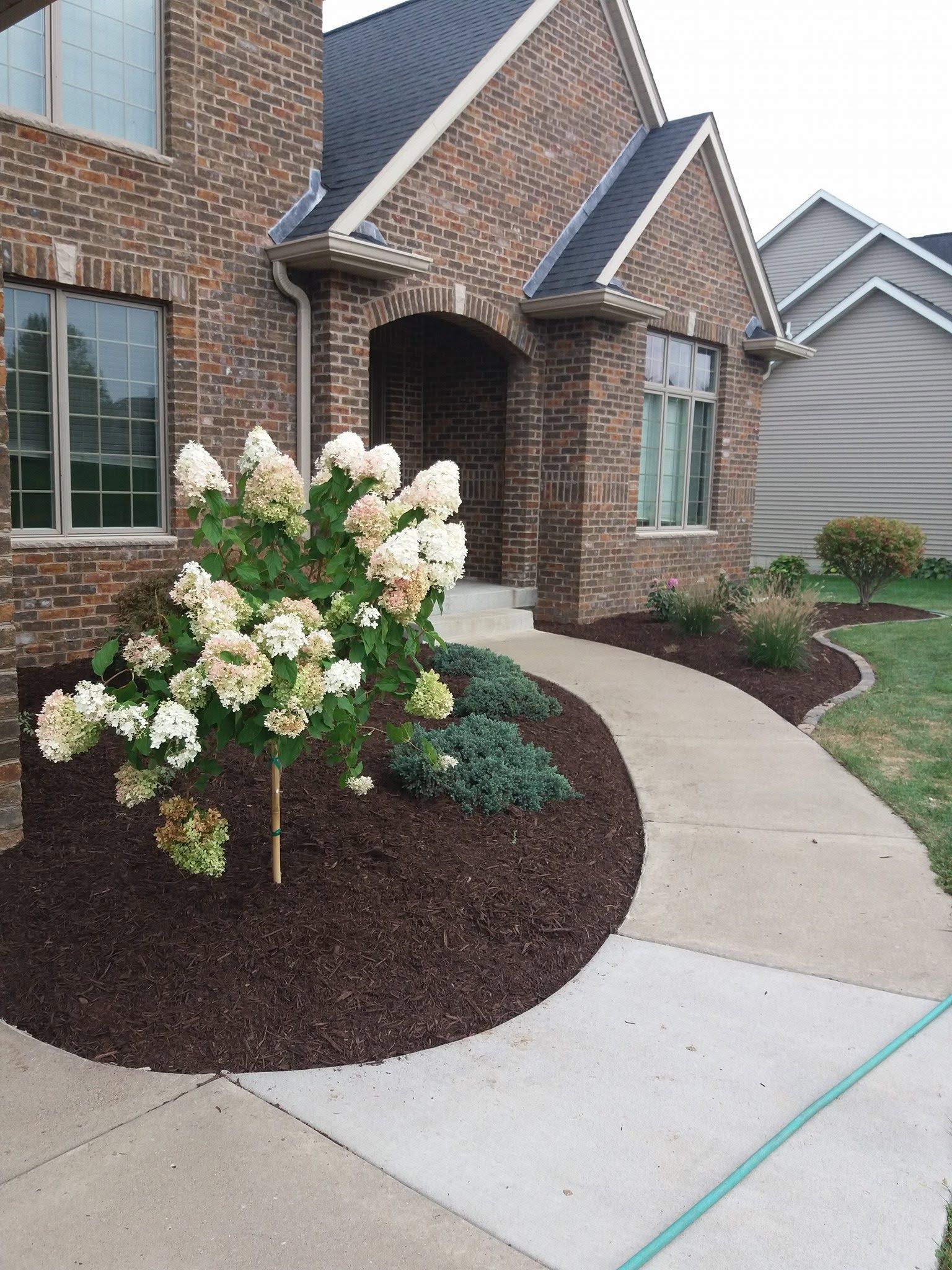 Brick house front entrance with white flowers, curved concrete walkway, and landscaped mulch beds