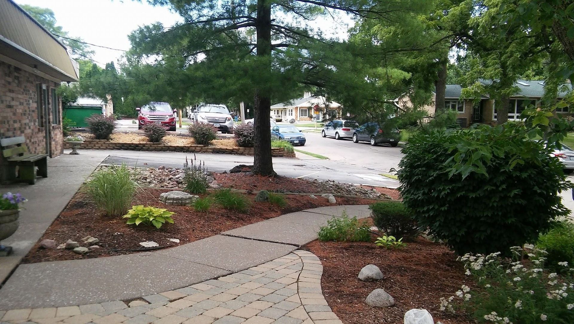 Courtyard walkway with mulch beds, trees, shrubs, and parked cars in the background