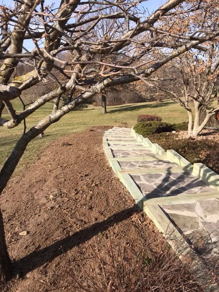 Orchard path lined with stone slabs beside bare tree branches and tilled soil under bright sunlight