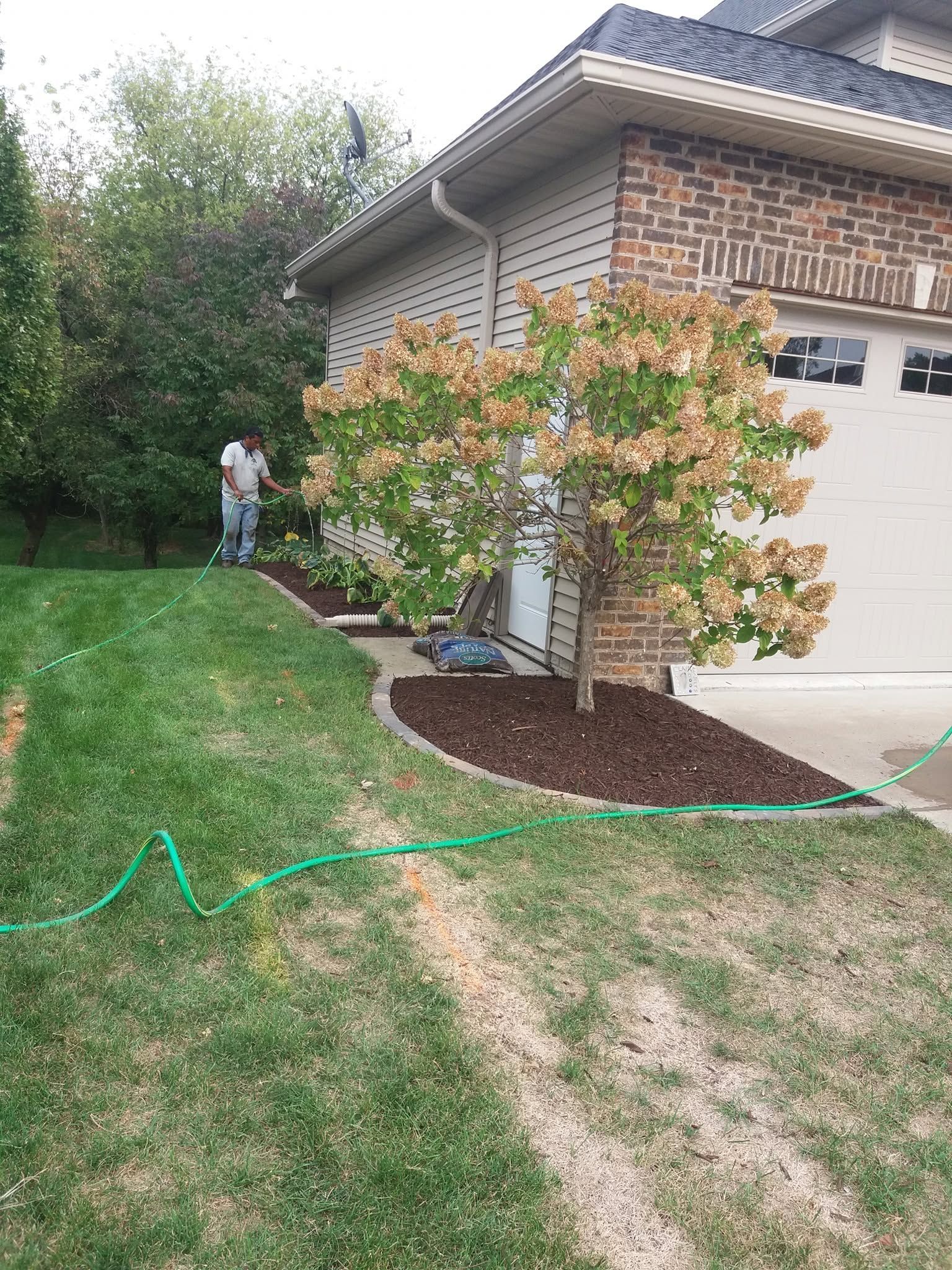 Front yard with a flowering tree, a house, and a person watering plants near the side of the garage.