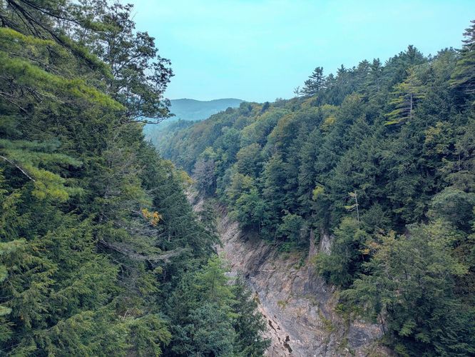Forested mountain gorge with a rocky ravine under a blue sky