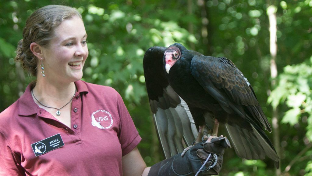 Woman in maroon shirt holding a black bird of prey outdoors in a wooded setting