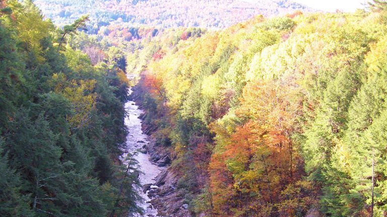 Autumn forest valley with a rocky river winding through colorful trees