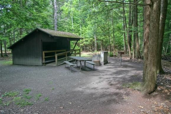 Forest campsite with a dark green shelter, picnic table, and fire ring among tall trees