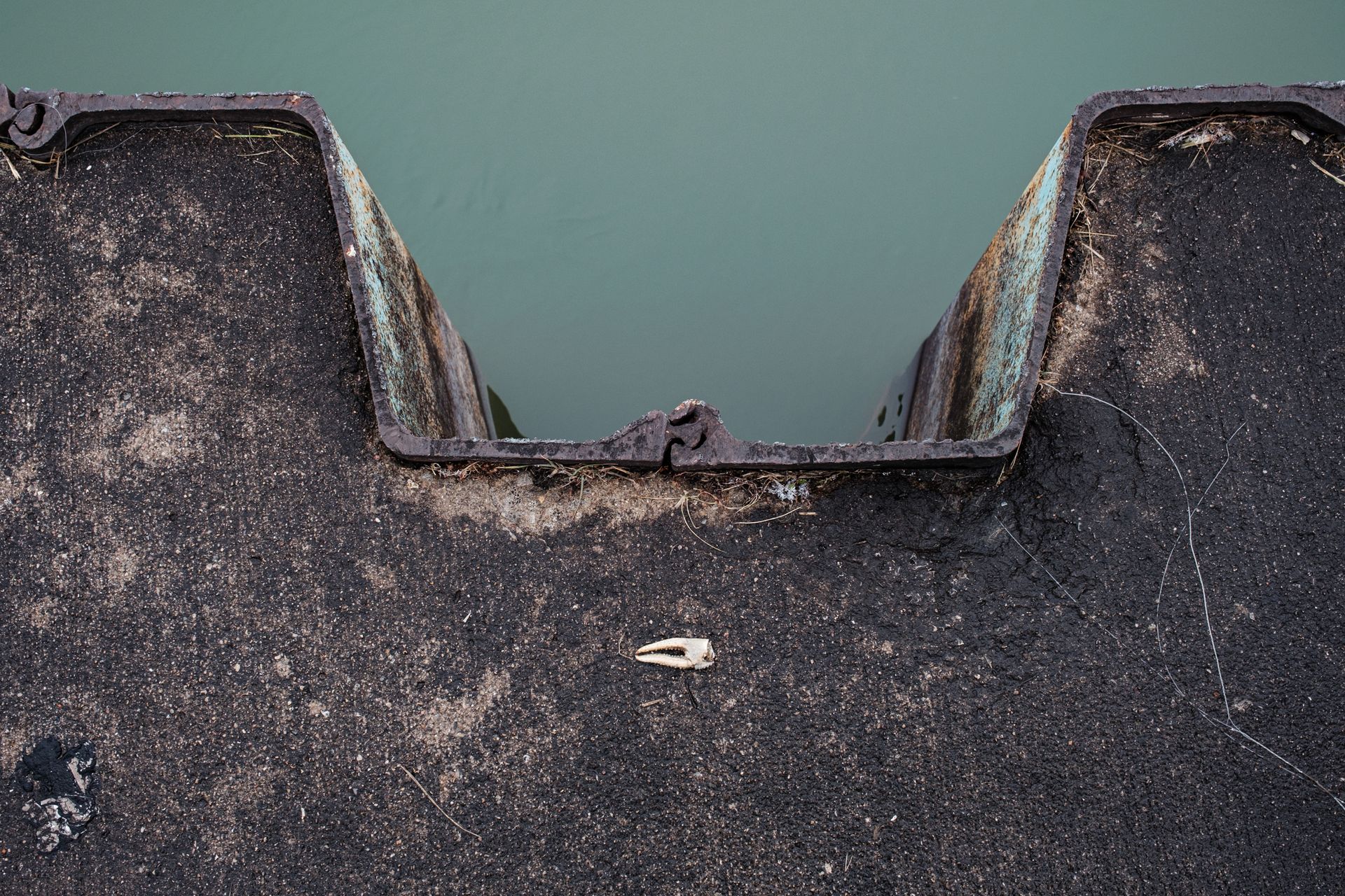 Close up of a sea wall along the Detroit River with a little claw.