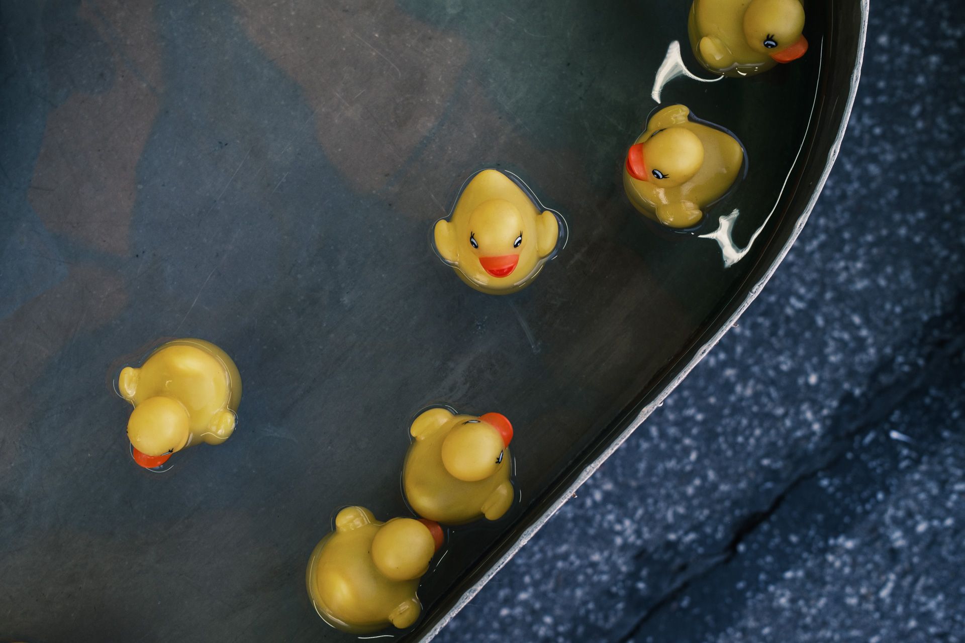 Looking down at a basin of rubber duckies at a street festival. 